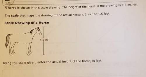 Ise is shown in this scale drawing. the height of the horse in the drawing is 4.5 inchesthe sc