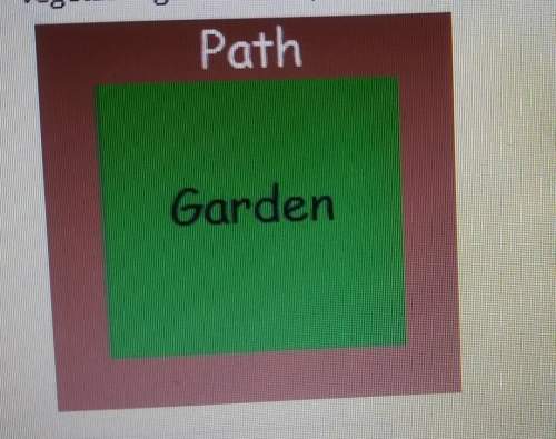 Avegetable garden and its surrounding that are shaped like a square that together are 11 feet wide.