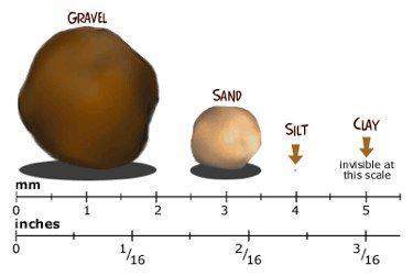Think about the three major types of soil: sand, silt, and clay. the diagram shows a comparison of