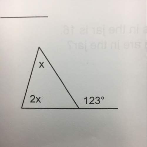 What is x? i do not know how to do this
