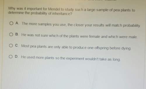 Why was it important for mendel to study such a large ample of pea plants todetermine the prob