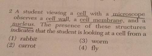 Astudent viewing a cell with a microscop observes a cell wall, a cell membrane, and a nucleus. the p