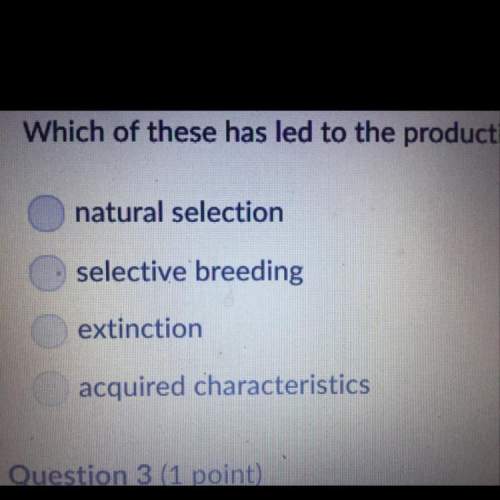 Which of these has led to the production of most modern domesticated crops and livestock