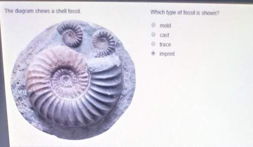The diagram shows a shell fossil which type of fossil is showna .moldb.cast&lt;
