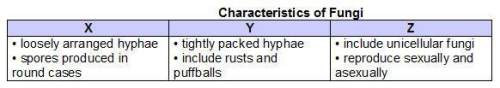 Ricardo listed characteristics of three types of fungi in a chart.  which headings corre