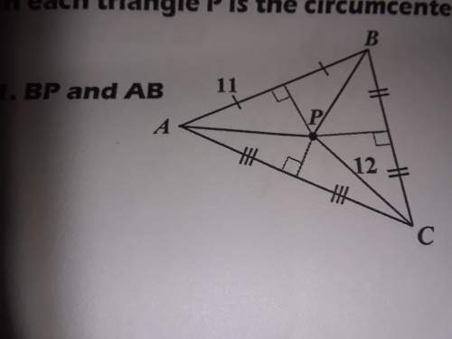 In each triangle p is the circumcenter use circumcenter theorem to solve for the givin values&lt;