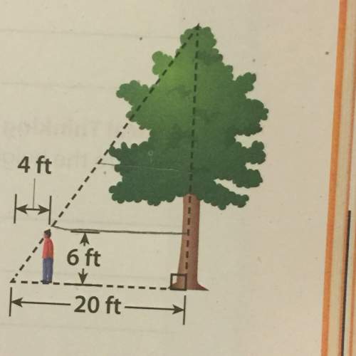 Tree is 20ft long frank is 6ft tall shadow is 4ft long a.)how tall is the tr