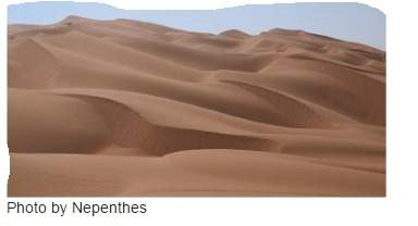The is also known as the “empty quarter” because of its harsh sand dunes and uninhabited areas.