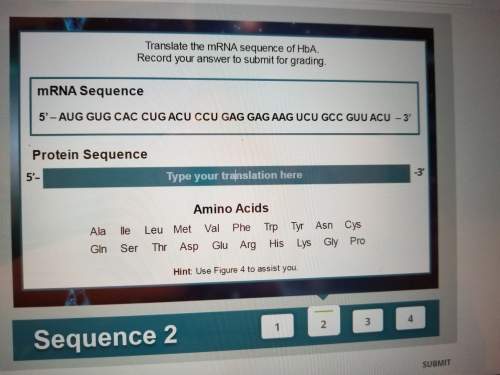 Translate the mrna sequence to hba 5'-aug gug cac cug acu ccu gag gag aag ucu gcc guu acu -3'