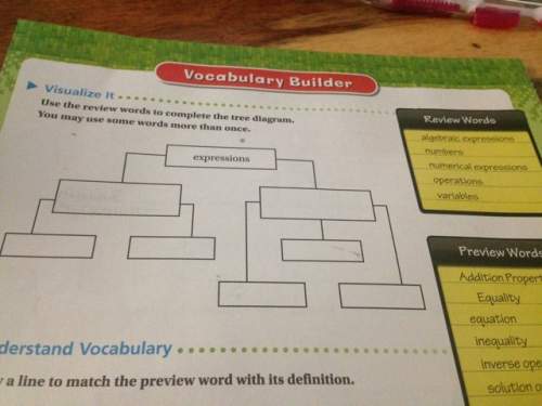 Finish the tree diagram with only the review words