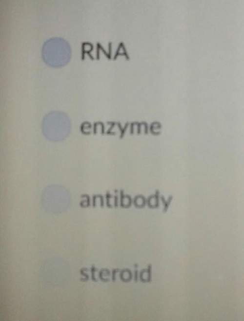 Which of the following is a biological catalyst?