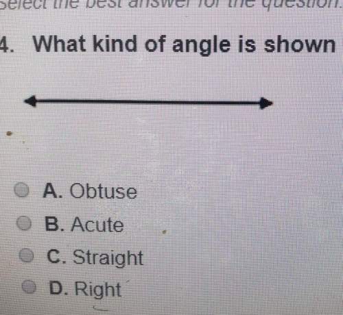 What kind of angle is shown in the image below