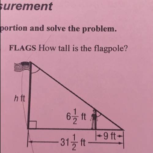 Iwant to know the height of the flagpole
