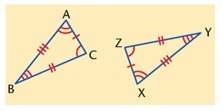 Use the congruent triangles shown to answer question 6 and 7. 6. a. b. c. d.  7. side bc