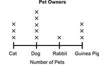 Samy recorded the number of different types of pets his friends have in the table shown below: