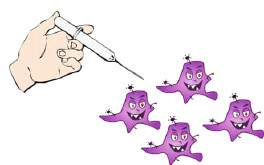 Which scenario does the picture below best represent?  an antibiotic caused an increase in ant