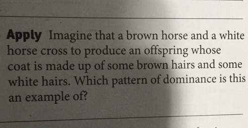 Imagine that a brown horse and a whitehorse cross to produce an offspring whosecoat is made up of so