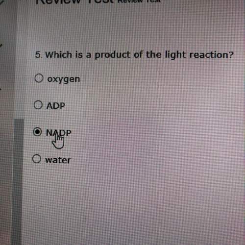 Which is a product of the light reaction ?