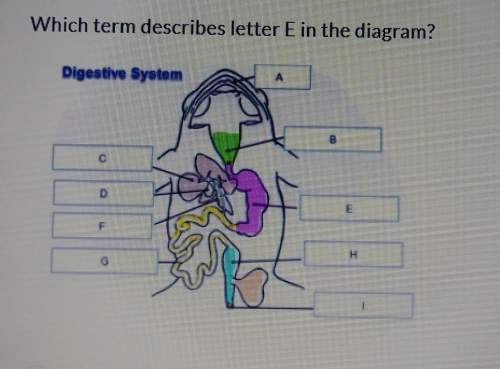 Which term describes letter e in the diagram? a. liverb. kidneyc
