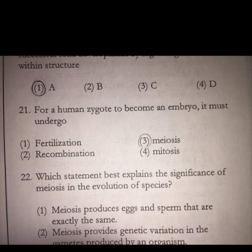 Why is 4 the correct answer to number 21 ? explain why and answer this