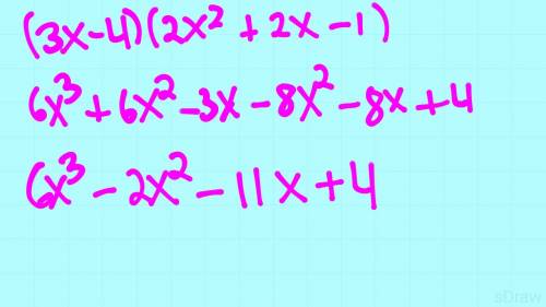 Find the product of (3x-4)(2x^2+2x-1)