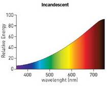 Based on the spectrum observed for incandescent white light, rank the colors in the visible spectrum