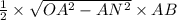 \frac{1}{2} \times \sqrt{OA^2-AN^2}\times AB