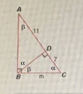 What is the value of m in the figure below in this diagram abd bcd