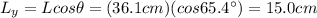 L_y = L cos \theta = (36.1 cm)(cos 65.4^{\circ})=15.0 cm