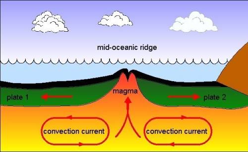 How does the theory of plate tectonics support the theory of seafloor spreading?  a. when a tectonic