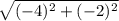 \sqrt{(-4)^{2}+(-2)^{2}  }