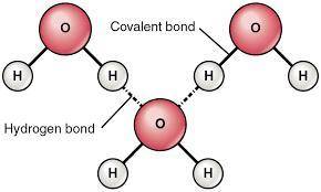 What type of intermolecular force contributes to the high boiling point of water? ?