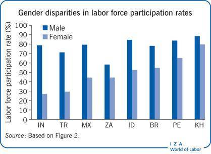 Use the information and the graphs to write two sentences about how bolivia’s labor force by occupat