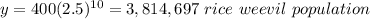 y=400(2.5)^{10}=3,814,697\ rice\ weevil\ population