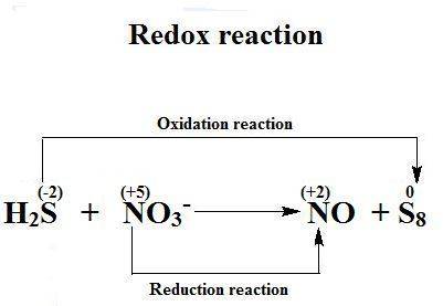 Balance the following skeleton reaction and identify the oxidizing and reducing agents:  h2s(g) + no