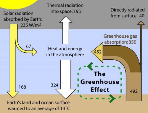 The diagram shows how greenhouse gases can lead to the formation of damaging acid rain. which two st
