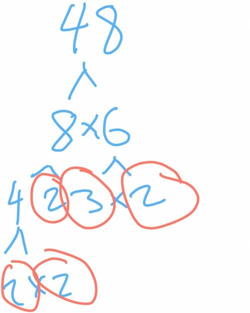 How do you find the least common multiple of two numbers using prime factorizations?