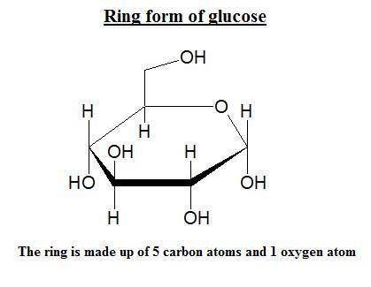 Which atoms make up the ring in the cyclic form of glucose?   a) 5 carbon atoms b) 5 carbon atoms an