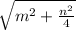 \sqrt{m^{2}+\frac{n^{2} }{4}