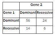 Ageneticist is studying two genes. each gene can be either dominant or recessive. a sample of 100 in