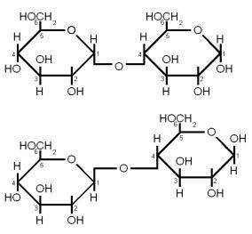 Why does maltose have both alpha and beta anomers?