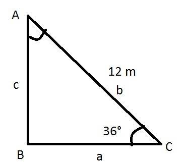 In a right triangle, the length of the hypotenuse is 12m and the measure of one of the acute angles