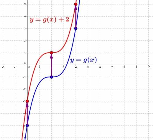 Below is the graph of y = g(x) translate it to make it the graph of y = g(x)^2  someone  me? ?