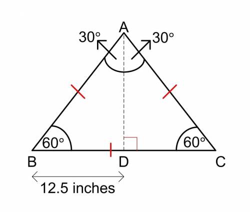 The shorter leg of a 30°- 60°- 90° right triangle is 12.5 inches. how long are the longer leg and th