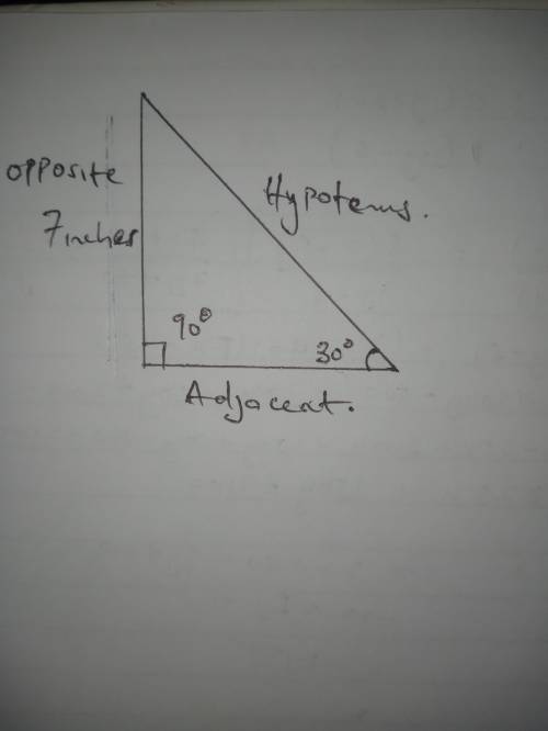 In a right triangle the leg opposite to the acute angle of 30 degrees in 7in. find the hypotenuse an