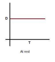 Describe the motion represented by a horizontal line on a distance time graph