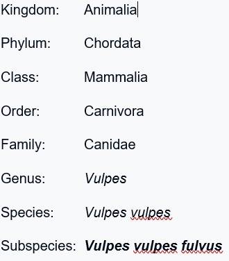 What is the complete classification of vulpes fulva?