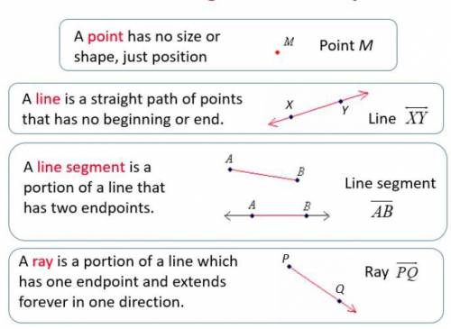 State one similarity and one difference between a segment and a ray