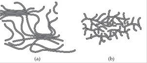 5shown here are cartoons of two different polymers. based on these cartoons, which polymer would you