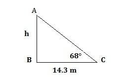 The angle of elevation of the sun is 68° when a tree casts a shadow 14.3 m long. how tall is the tre
